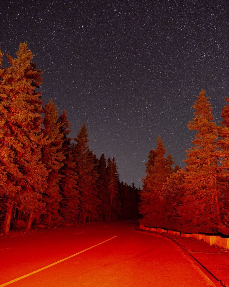 Scary forest road at night illuminated by break lights